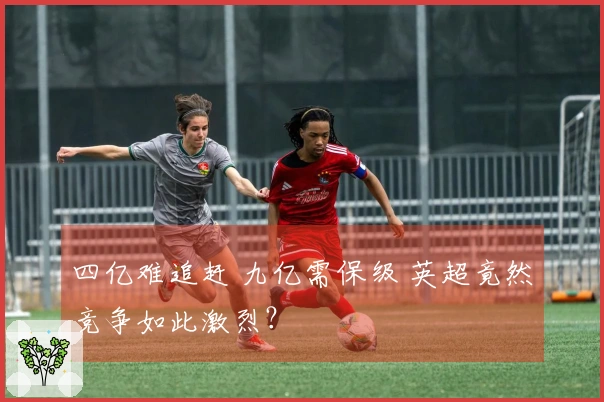 四亿难追赶 九亿需保级 英超竟然竞争如此激烈？
