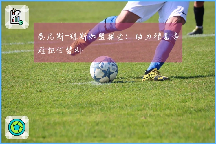 泰厄斯-琼斯加盟掘金：助力穆雷争冠担任替补