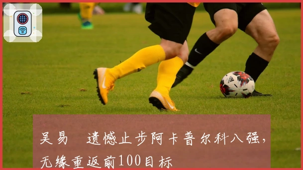 吴易昺遗憾止步阿卡普尔科八强，无缘重返前100目标